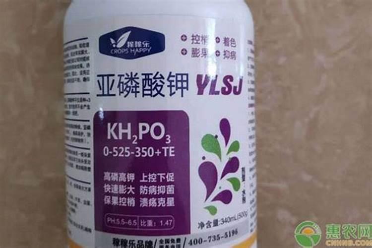 叶面专用肥有哪些种类 哪种叶面肥效果更好