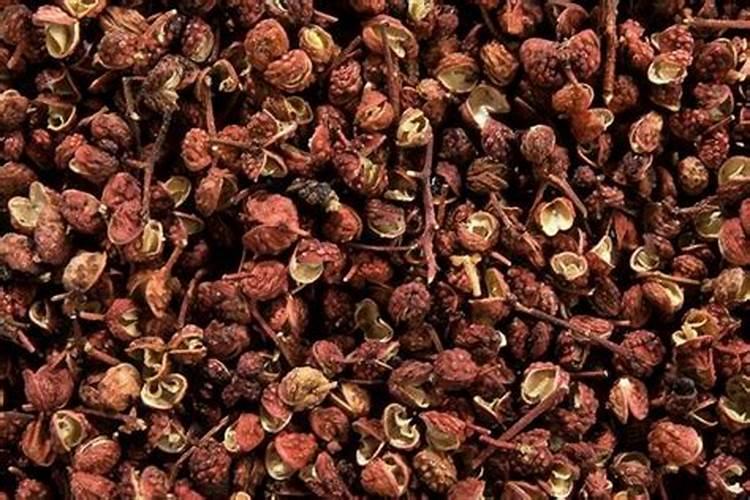 辣椒的种植需要什么肥料