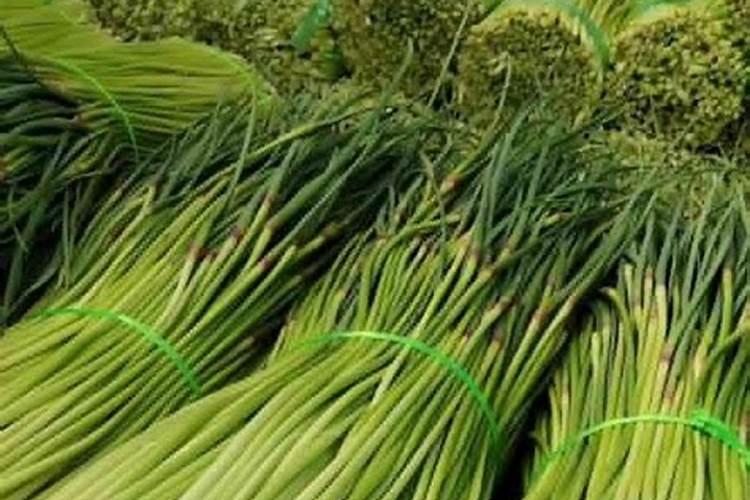 大蒜打完蒜苔喷施叶面肥对大蒜有好处吗？