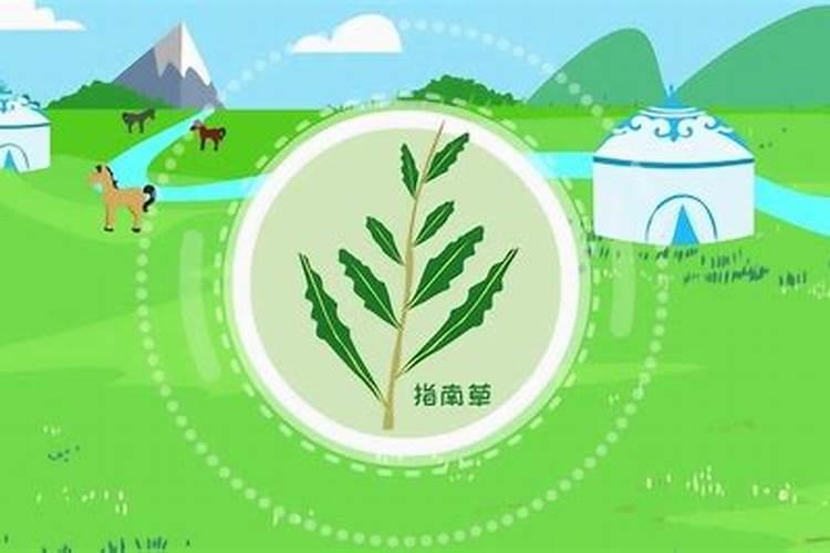 蓝莓树苗怎么防止干枯