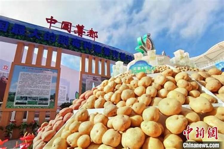 秋土豆种植时间与施肥技术 注意事项有哪些