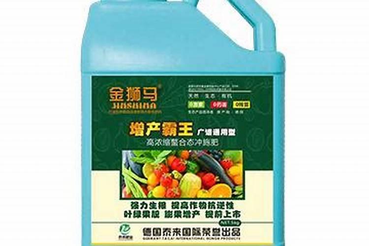 增产霸王打油豆秧上怎么样？