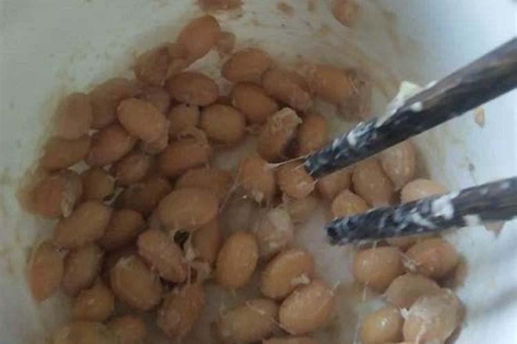 求纳豆菌怎么制作