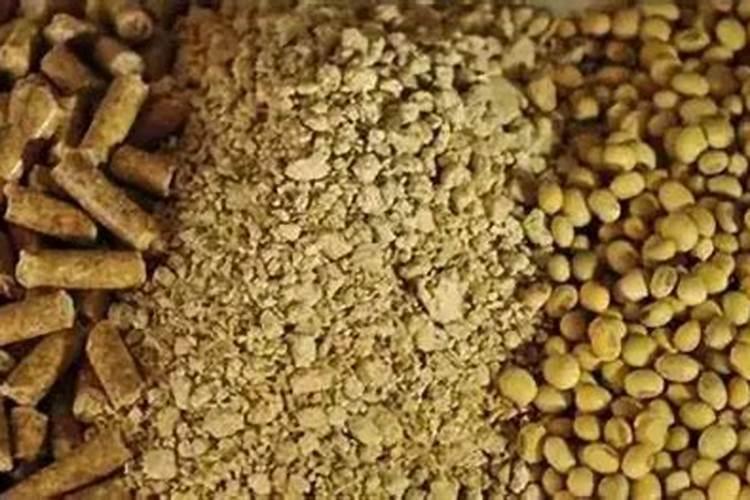 鱼蛋白肥料的功效与作用