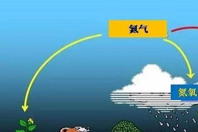 空气中的氮气是农业生产中常用的氮肥吗