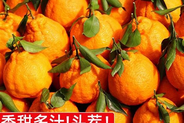柑橘着色喷鱼蛋白会污染吗