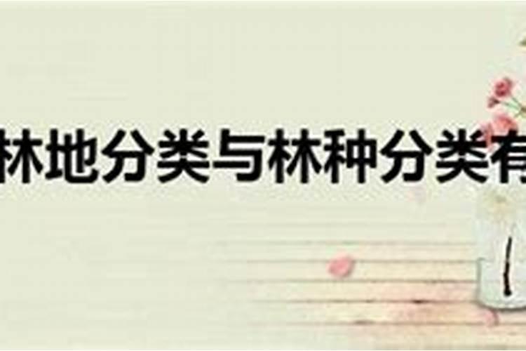 种油茶树怎样施肥？
