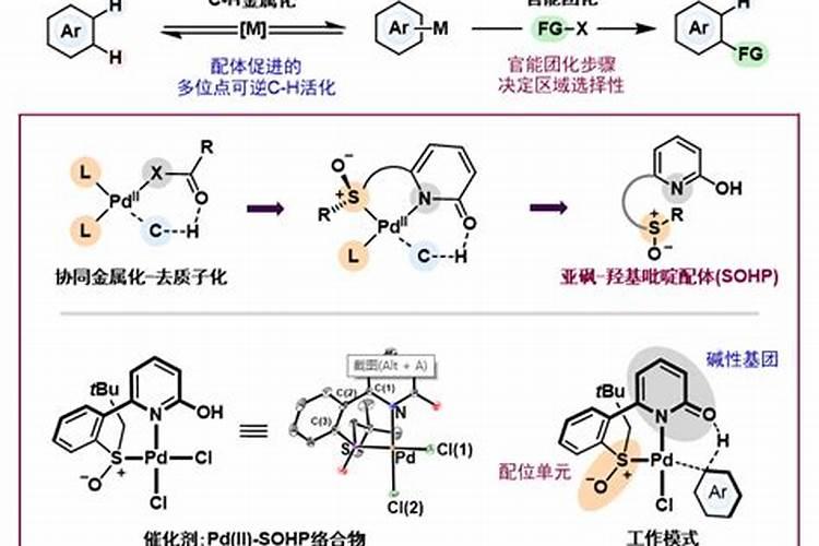 蜜柚,香蕉,大青枣,开花期保花保果该如何使用农药