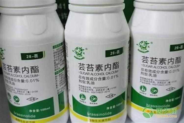 芸苔素种类繁多哪种芸苔素效果最好？芸苔素有哪些作用？