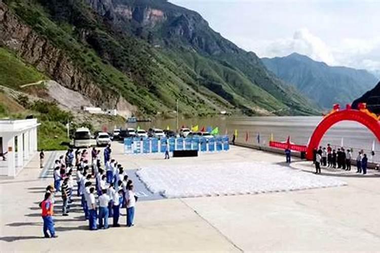 鱼蛋白肥,好的品牌有哪些？