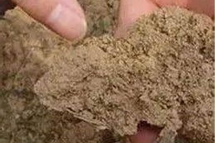 硫酸铵水溶肥什么季节使好？