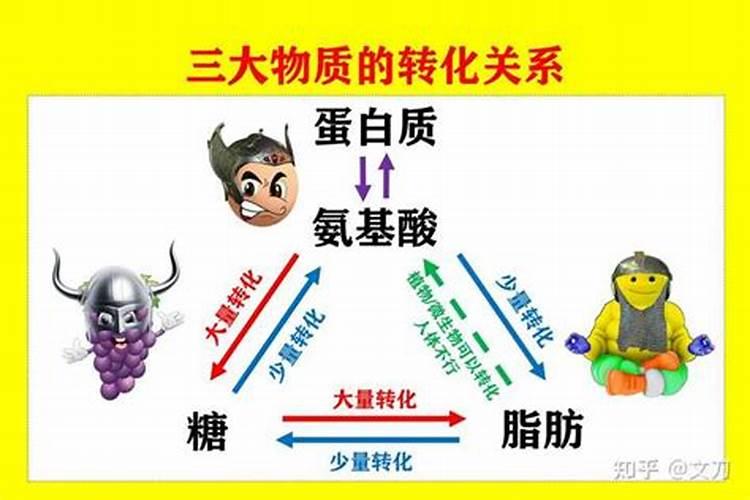 用黄豆如何养绿植可以爆盆