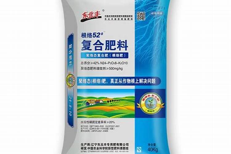 丰乐831玉米品种介绍