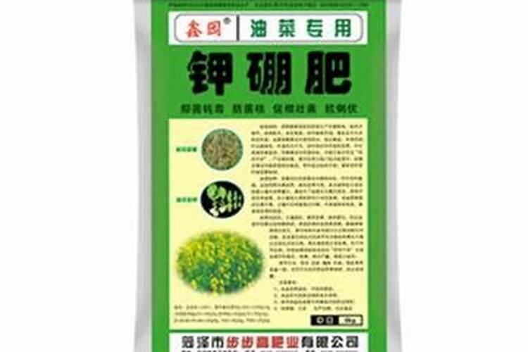 果树施硼肥怎么操作？果树施硼肥有什么用？