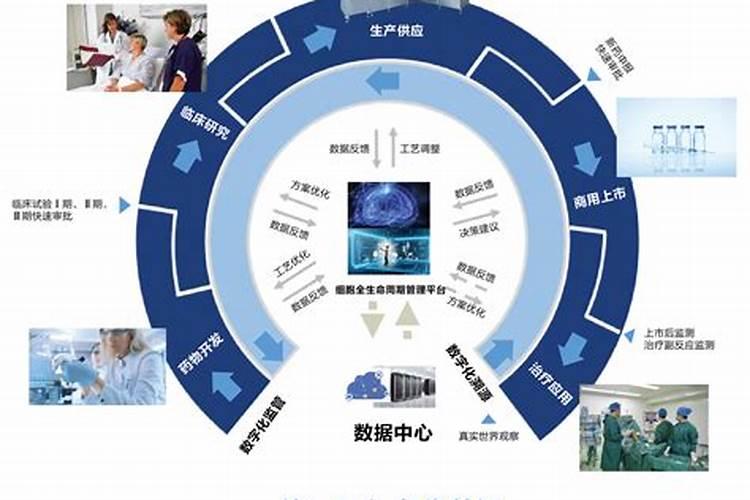 水溶肥是什么肥料怎样使用