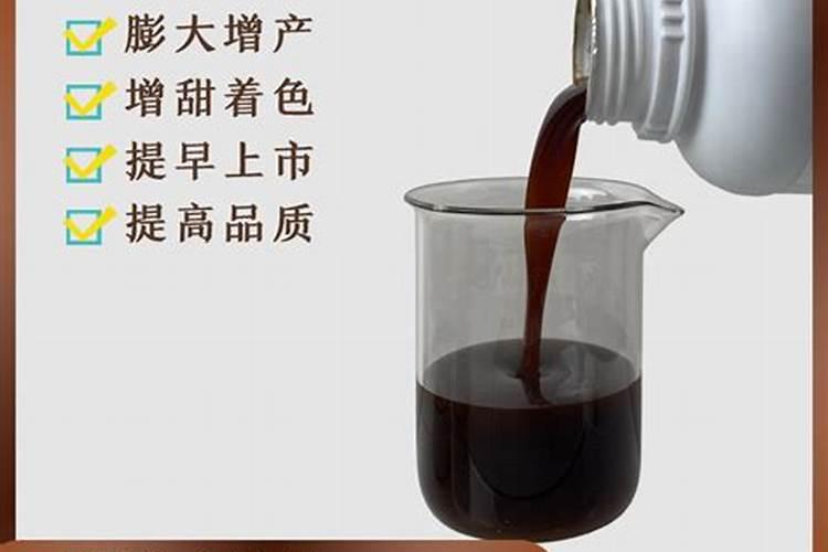 芒果冬季如何种植管理 安全过冬方法是什么