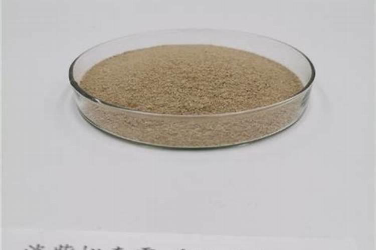 淡紫拟青霉最佳使用方法是什么？