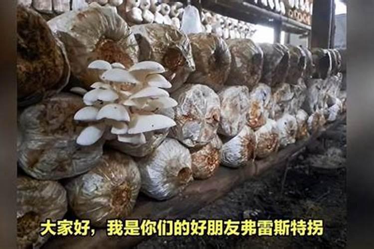 草木灰兑水喷施在作物上面有什么好处？
