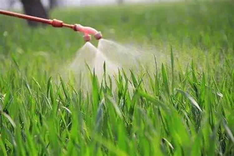 水溶肥料兑水比例是多少
