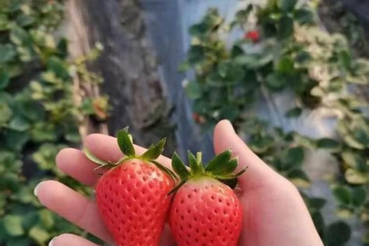 贵港覃塘三室一厅大概多少钱