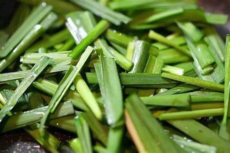 茉莉花/栀子花懒人半水培法