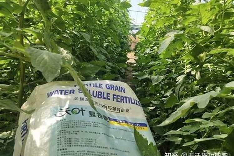 颗粒水溶肥有什么成分？大棚黄瓜用合适吗？