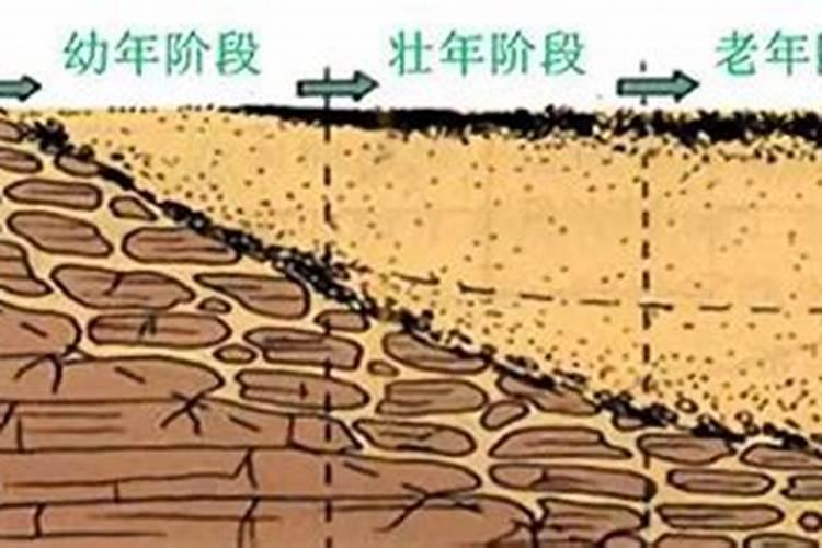 土是由什么元素组成的