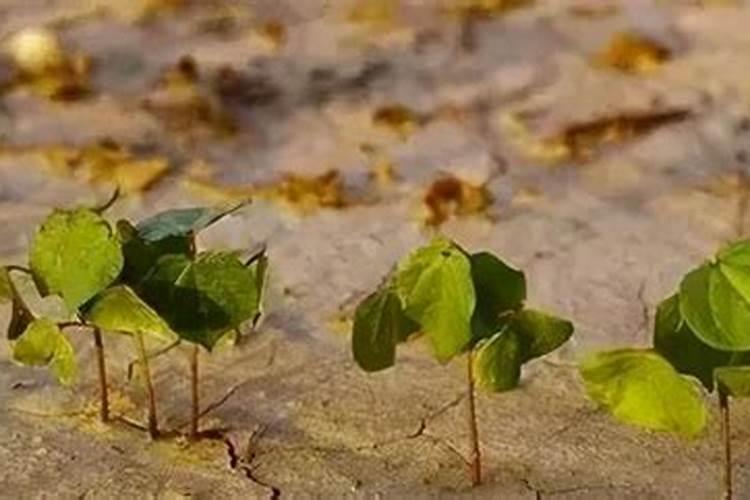 地壳中的元素分布