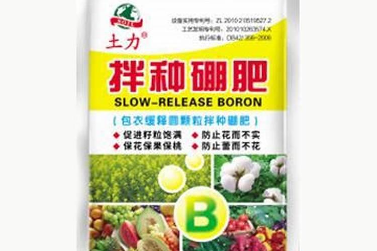 小麦拌种能用芸苔素吗