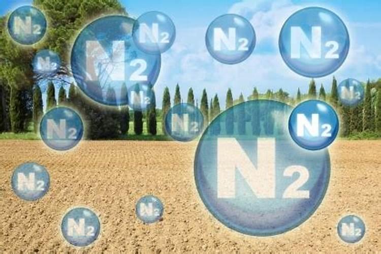 化学家是怎么样把空气中的氮变成肥料的？