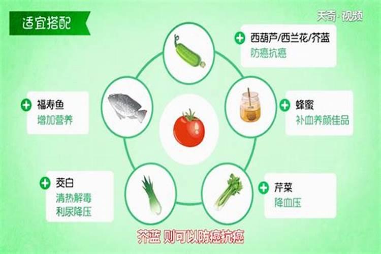 紫花苜蓿第一年第一次什么时候割花卉百科