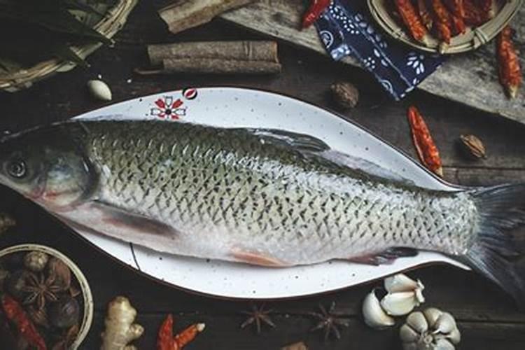 死鱼装瓶中加水时间长能当肥料吗？