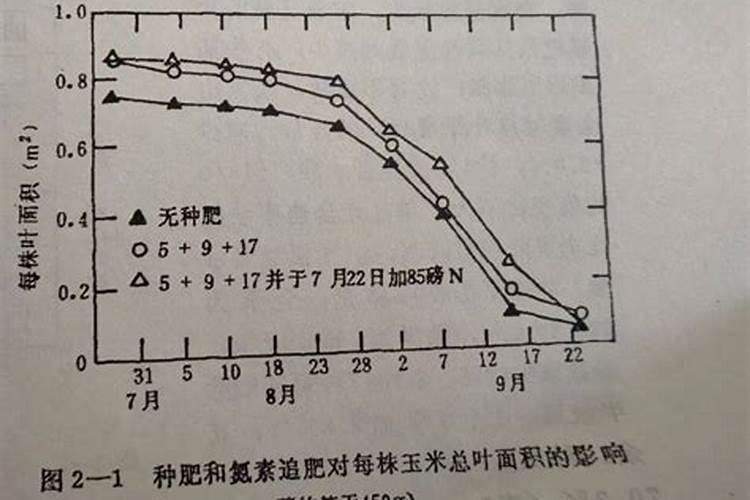 什么是氮肥