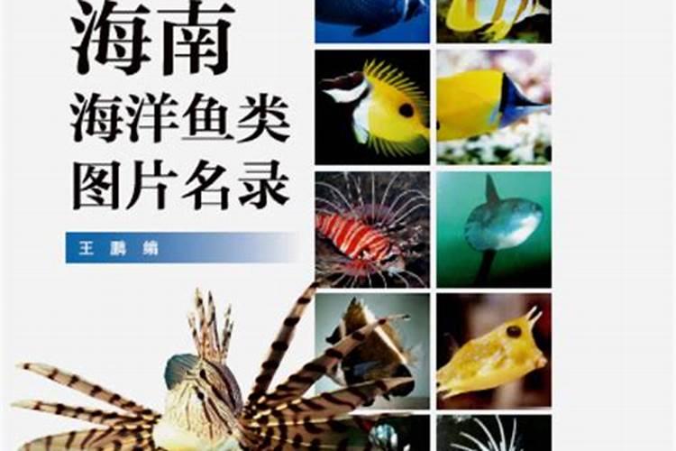 先生鱼的营养价值怎么样？