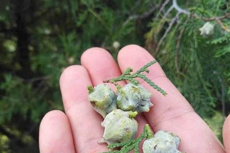 谁来帮我看看我在体检时候的数据到底对身体好还是不好？