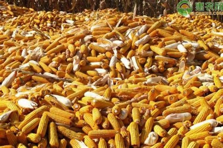玉米专用叶面肥什么牌子好