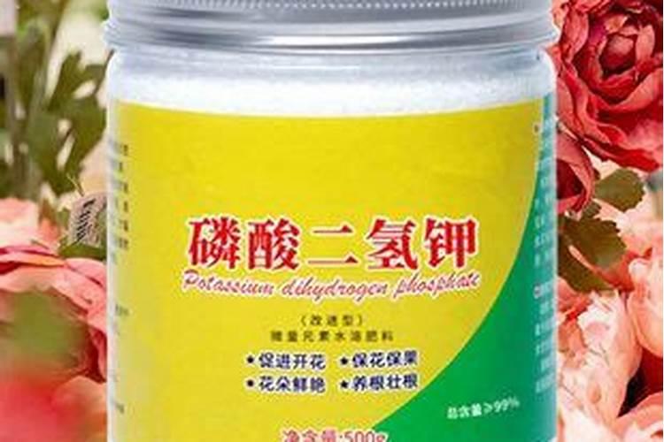 磷酸二氢钾可以浇绿萝吗