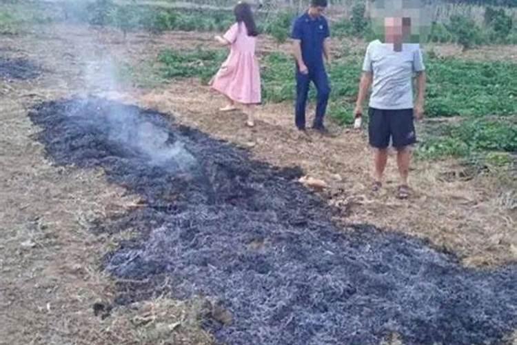 普通的草死后不也能做肥料吗!为什么只有紫云英等才是绿肥!它不也是一种...