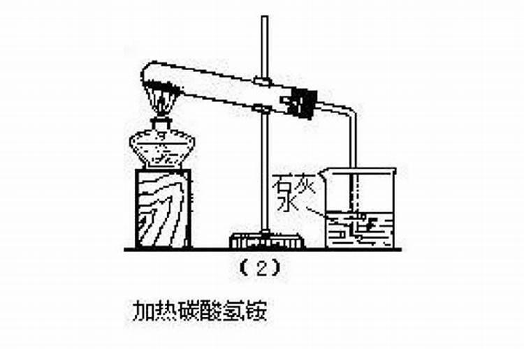 丽格海棠怎么养