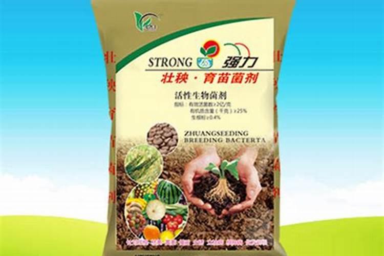 壮秧剂能伴土里种菜吗:培育油菜苗？