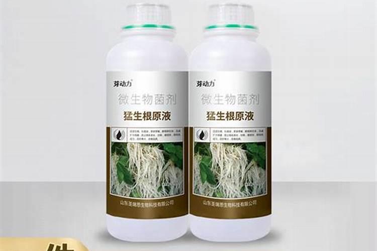 生根壮根的肥料有哪些
