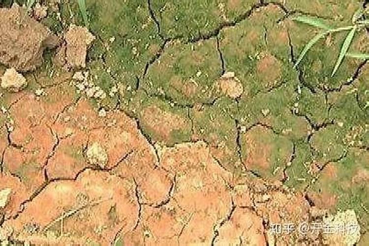 氮肥引起土壤板结氮肥属于哪种肥料