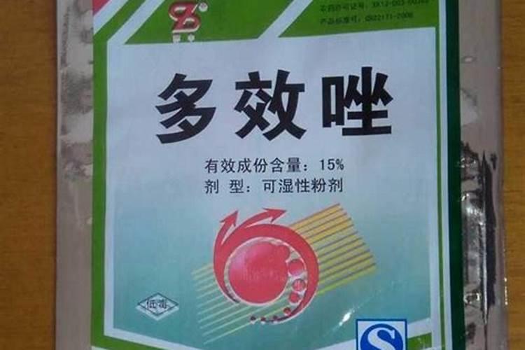 玉米控旺用什么药最好