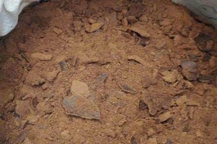 种植玉米时,需要施几次肥？一株玉米施多少呢？