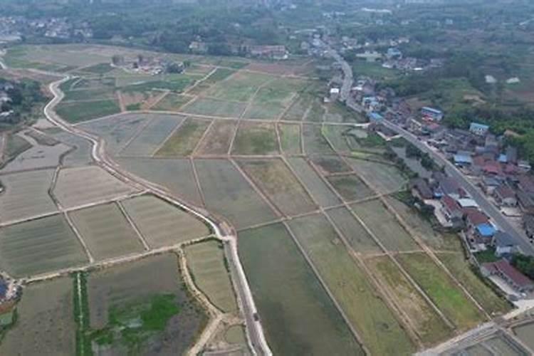 斤水溶肥兑多少水,水溶肥如何使用效果才好