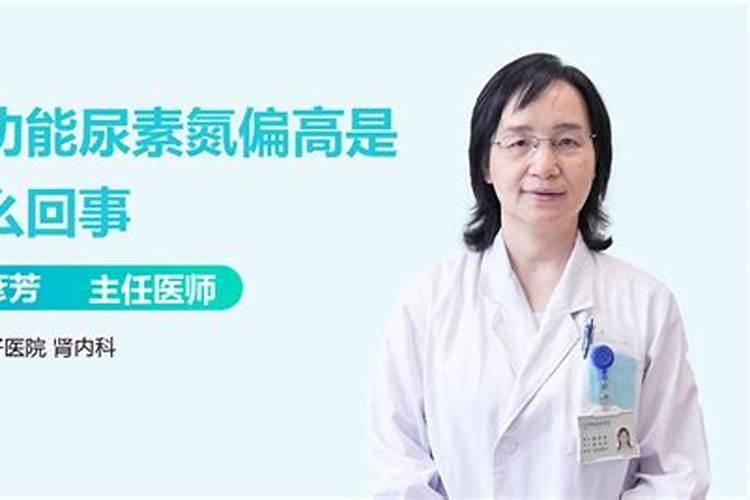 鱼蛋白叶面肥的五个最佳选择