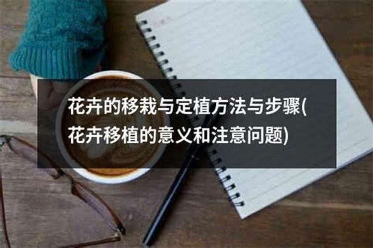 换盆后多久可以施肥