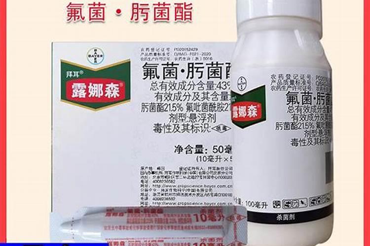 水稻打什么药能增产 什么时间打药较好