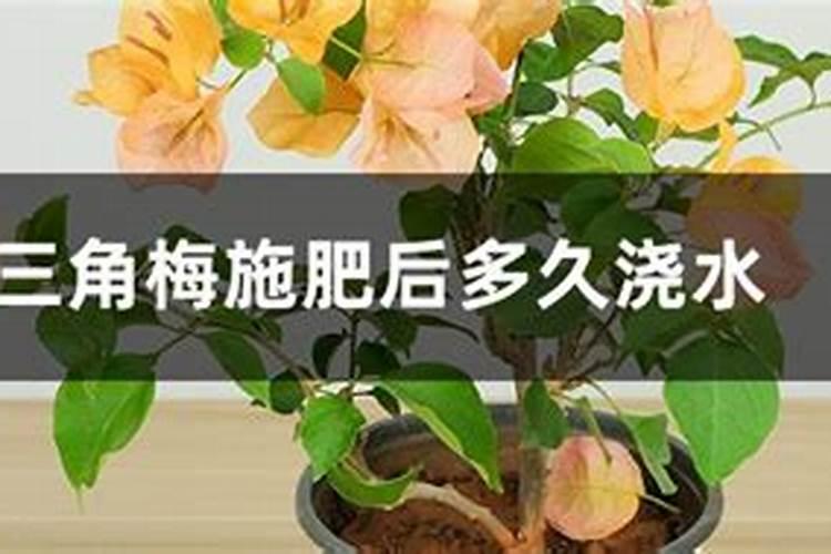 氮肥包括哪些肥料