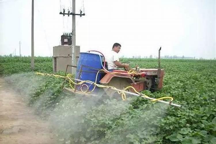 中国水溶肥的前十名 中国十大水溶肥排名